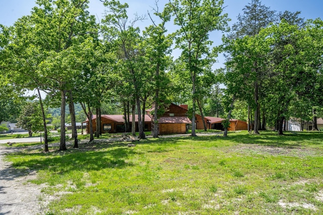 241 Nine Center Ct, Reeds Spring, MO 65737 - view of yard