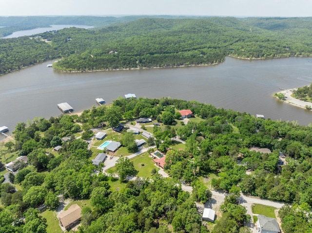 241 Nine Center Ct, Reeds Spring, MO 65737 - bird's eye view of a heavily wooded area and a large body of water