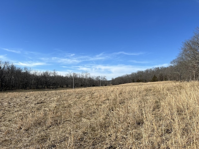 Listing photo 3 for 000 Shelton Rd, Willow Springs MO 65793