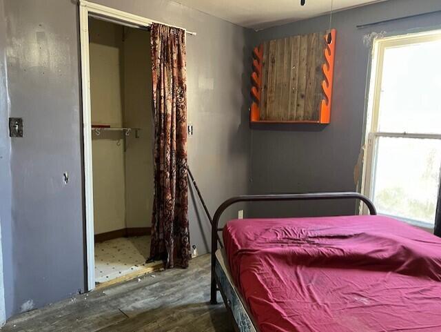 bedroom featuring multiple windows, wood-type flooring, and a closet