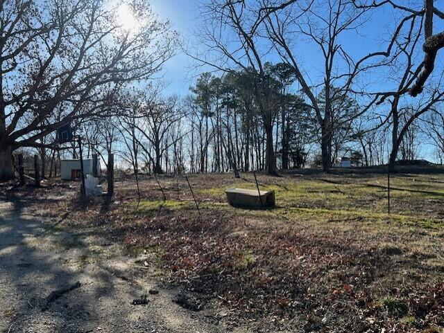 view of yard with a rural view