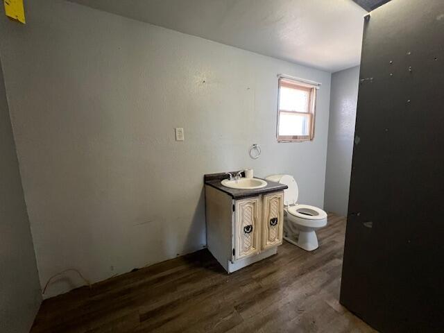 bathroom featuring vanity, hardwood / wood-style flooring, and toilet