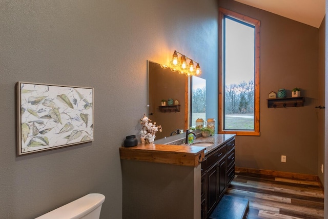 bathroom with hardwood / wood-style flooring, vanity, and toilet