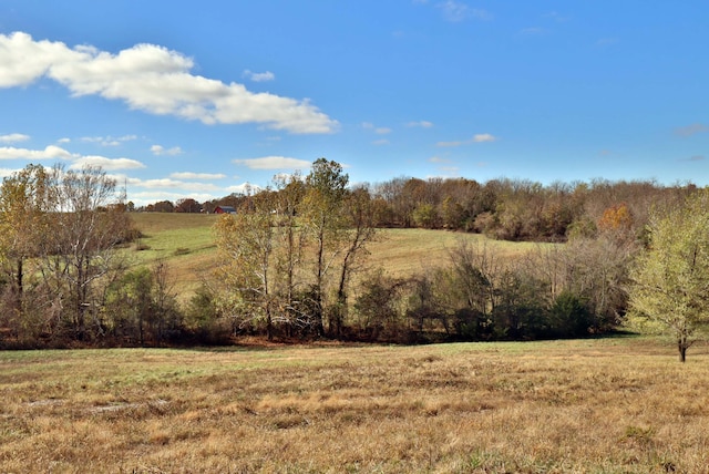 000 W State Highway U, Walnut Grove MO, 65770 land for sale