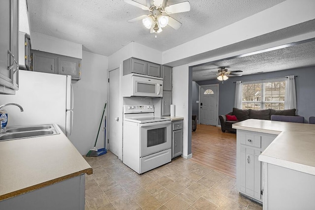 kitchen featuring sink, white appliances, a textured ceiling, gray cabinets, and ceiling fan