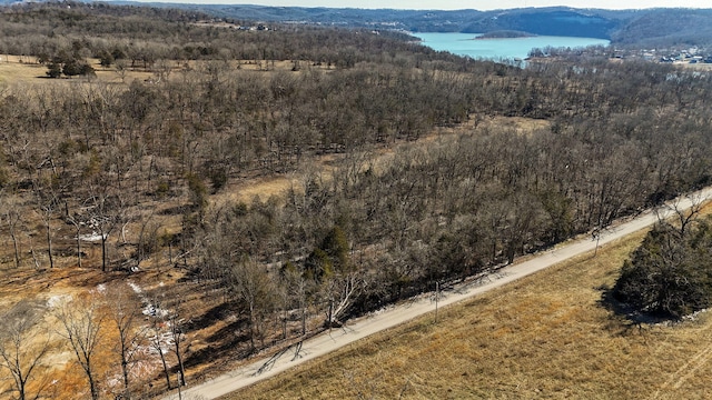 126 Melton Peninsula, Cape Fair, MO 65624