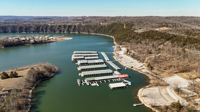 126 Melton Peninsula, Cape Fair, MO 65624