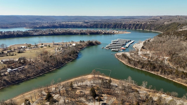 126 Melton Peninsula, Cape Fair, MO 65624