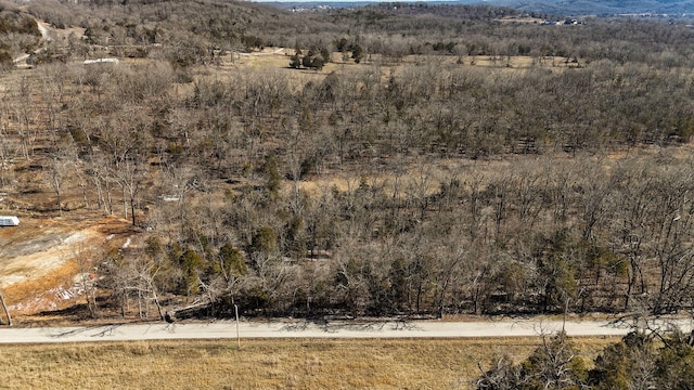126 Melton Peninsula, Cape Fair, MO 65624