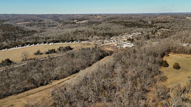 126 Melton Peninsula, Cape Fair, MO 65624
