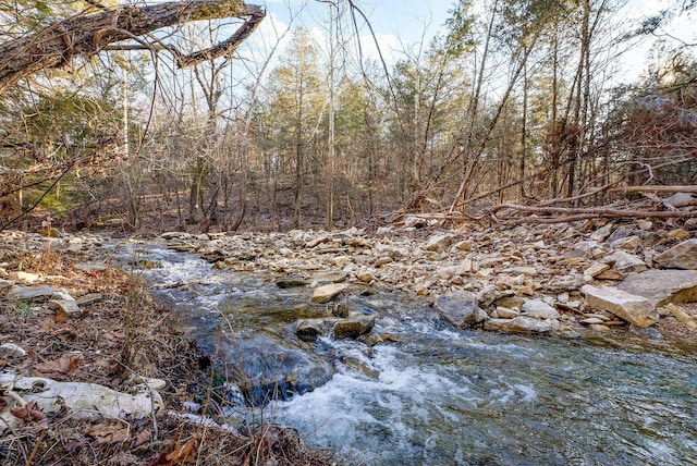 view of local wilderness with a forest view