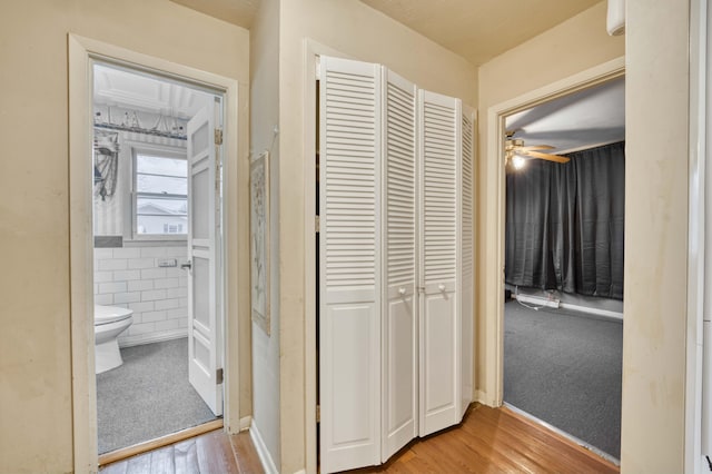 hall with tile walls and light wood-type flooring