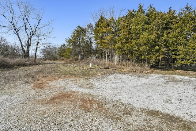 view of local wilderness