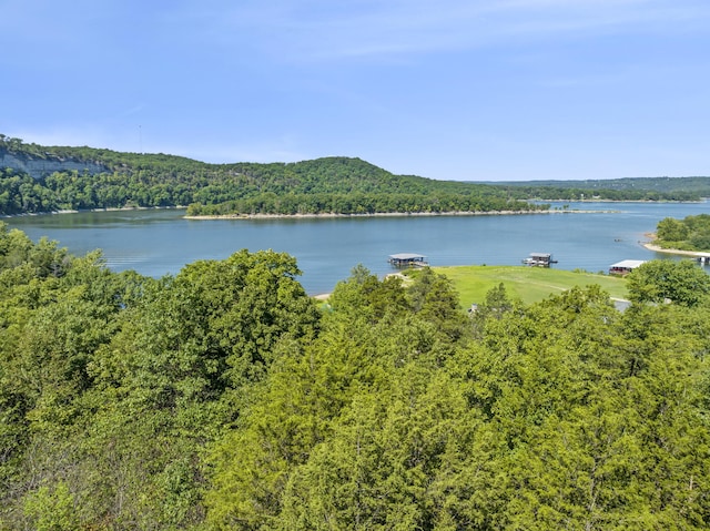 LOT6 Bear Den Cv, Galena MO, 65656 land for sale