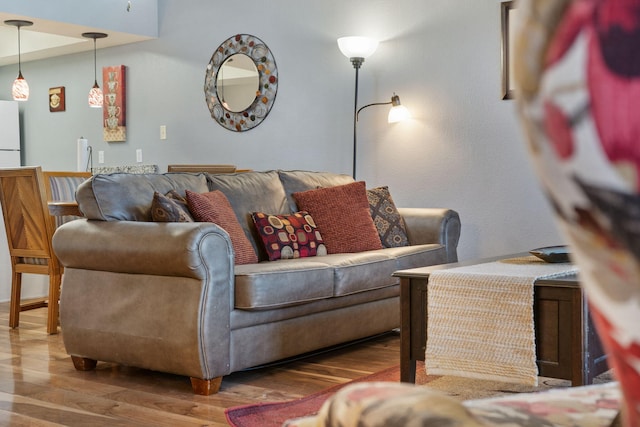 living room featuring hardwood / wood-style floors