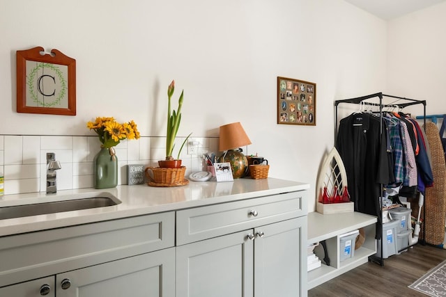 interior space featuring dark hardwood / wood-style flooring and sink