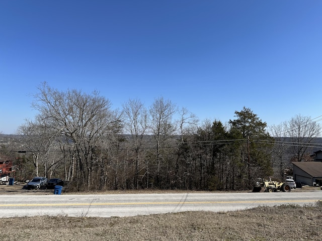 591 State Highway Y, Forsyth MO, 65653 land for sale