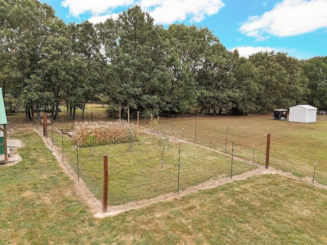 view of yard with a rural view and a storage shed