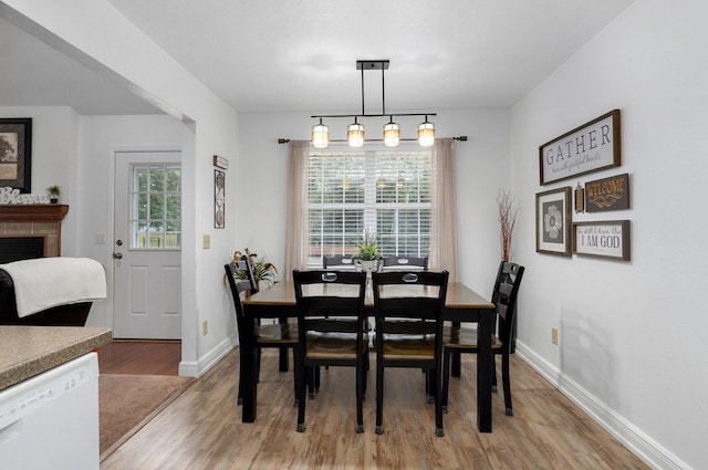 dining room with a tiled fireplace and light hardwood / wood-style flooring