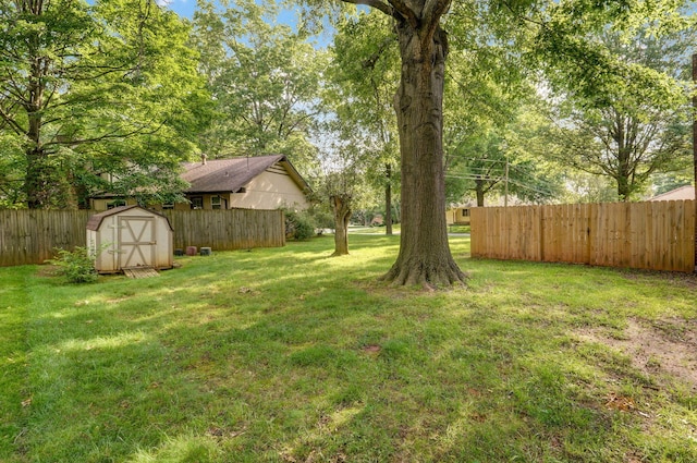 view of yard with a storage unit