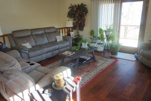 living room featuring dark hardwood / wood-style flooring