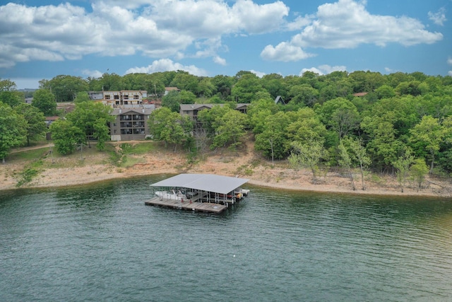 exterior space with a dock