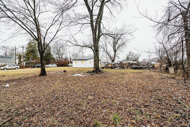 4229 County Road 2120, Pomona, MO 65789 - view of yard
