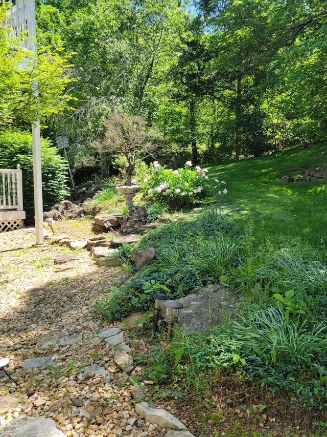 143 Arizona Dr, Branson, MO 65616 - view of yard