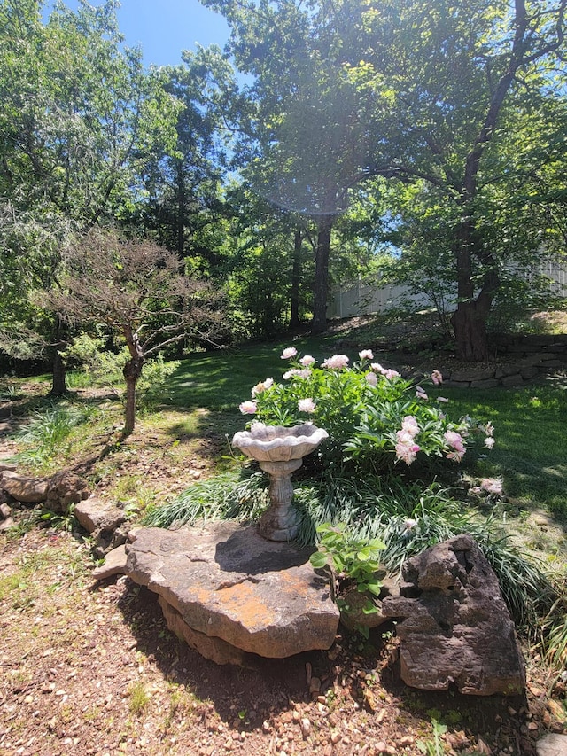 143 Arizona Dr, Branson, MO 65616 - view of yard