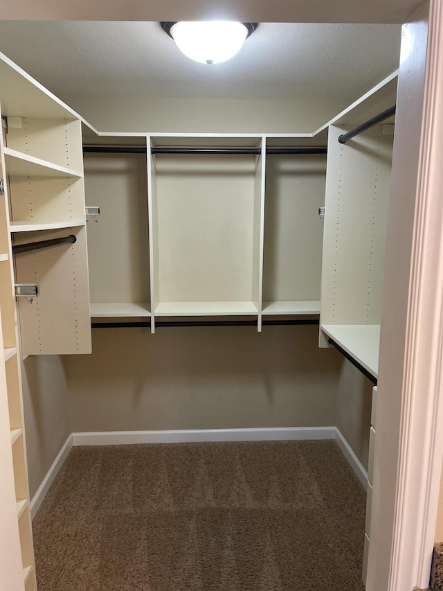 walk in closet with carpet flooring