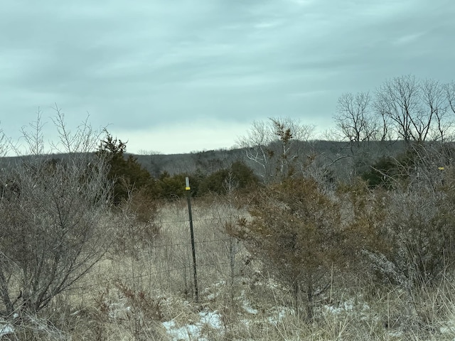 view of local wilderness