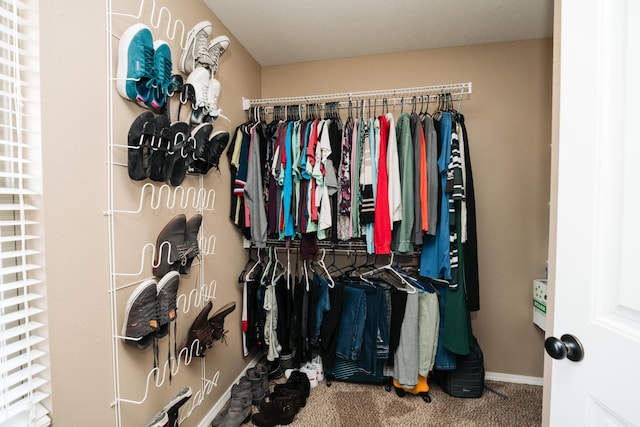 spacious closet featuring carpet flooring