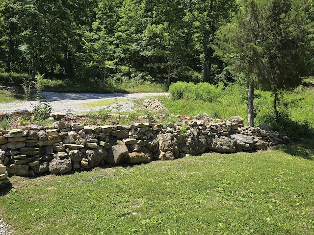 11498 Weatherman Dr, Mountain Grove, MO 65711 - view of green lawn featuring a forest view