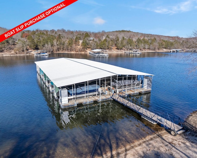 view of dock with a water view