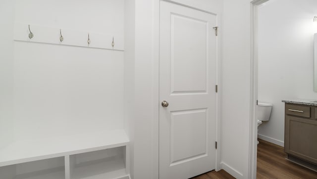 mudroom featuring dark hardwood / wood-style flooring