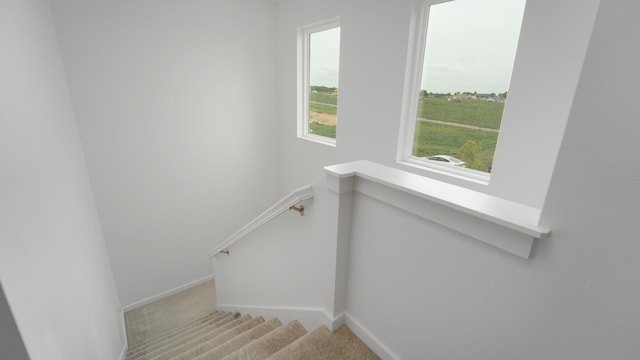 stairway with carpet flooring