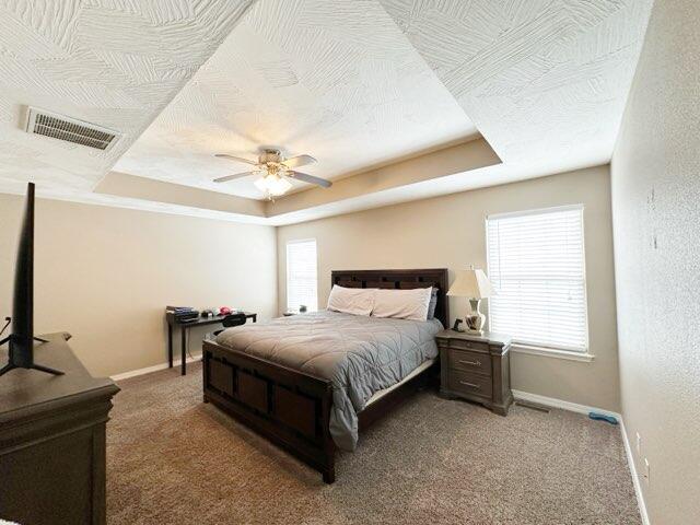 carpeted bedroom featuring multiple windows, a textured ceiling, and a raised ceiling