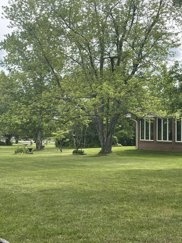 830 Tower Rd, Lebanon, MO 65536 - view of grassy yard