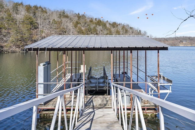 dock area with a water view