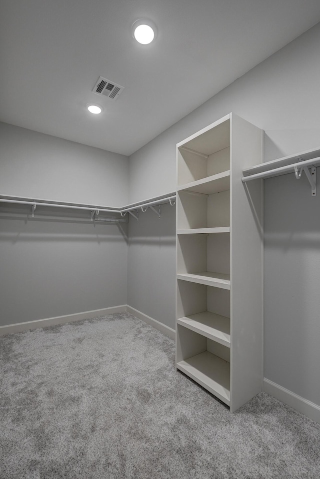 spacious closet with carpet floors