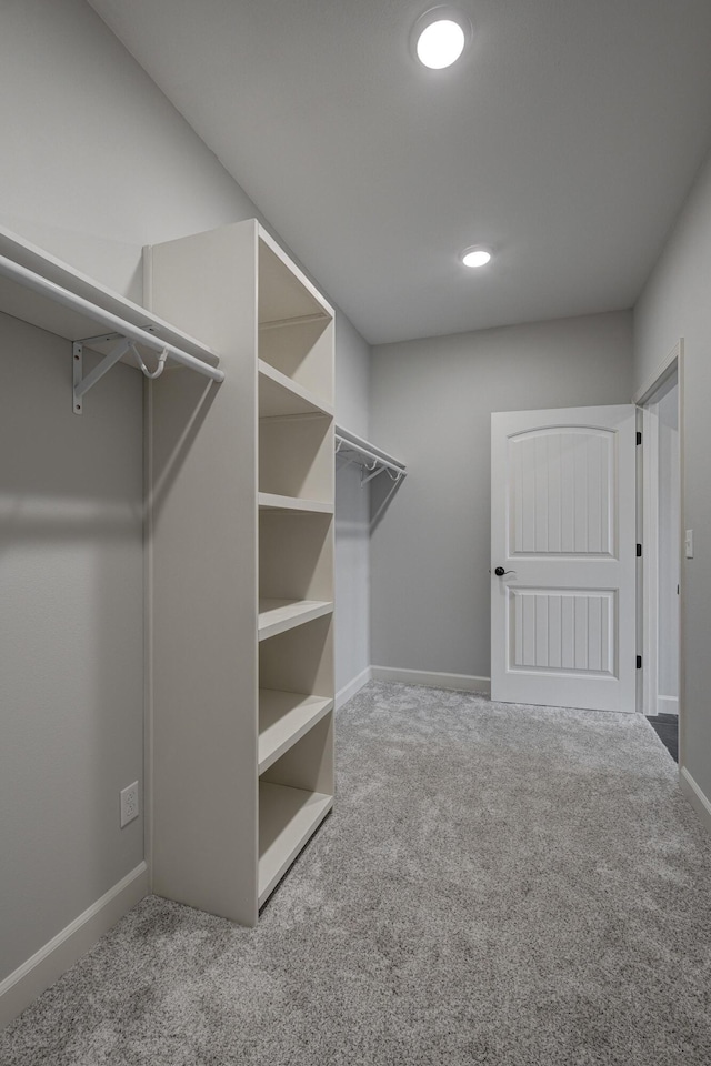 walk in closet with carpet flooring