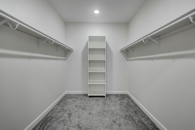 walk in closet featuring carpet flooring