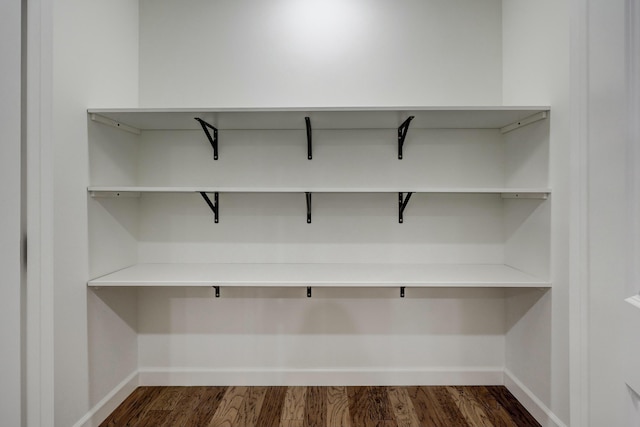 pantry with dark hardwood / wood-style flooring