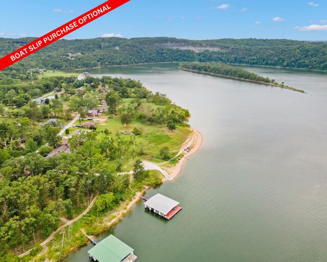 birds eye view of property with a water view and a forest view