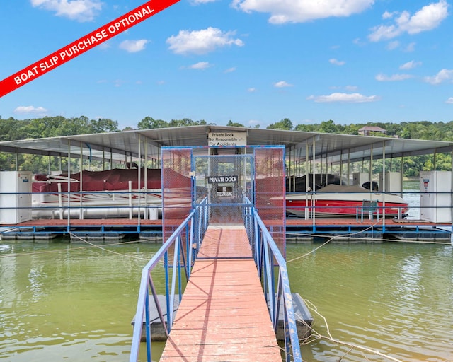 dock area with a water view