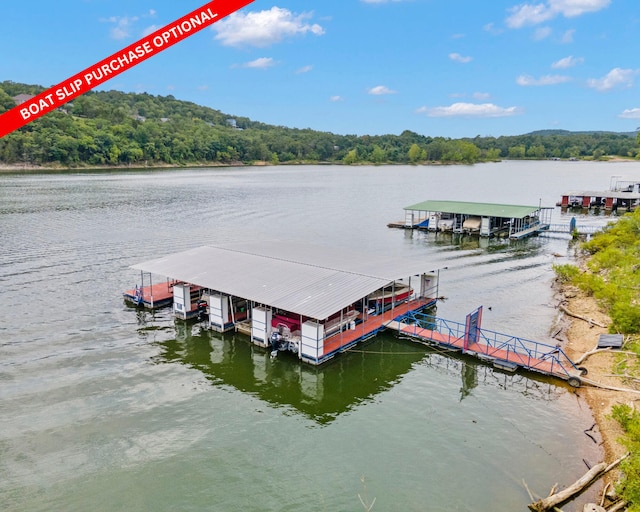 view of dock featuring a water view, a view of trees, and boat lift