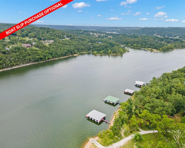 aerial view featuring a water view and a view of trees