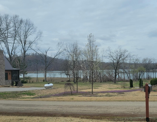 226 Hunt Club Cir, Galena, MO 65656 - view of street with a water view