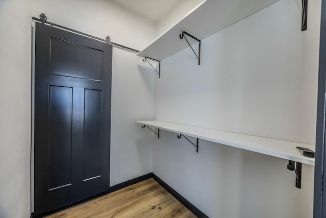 spacious closet featuring light wood finished floors and a barn door