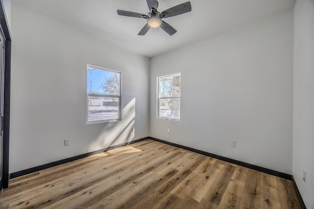 unfurnished room featuring light wood-type flooring, ceiling fan, and baseboards